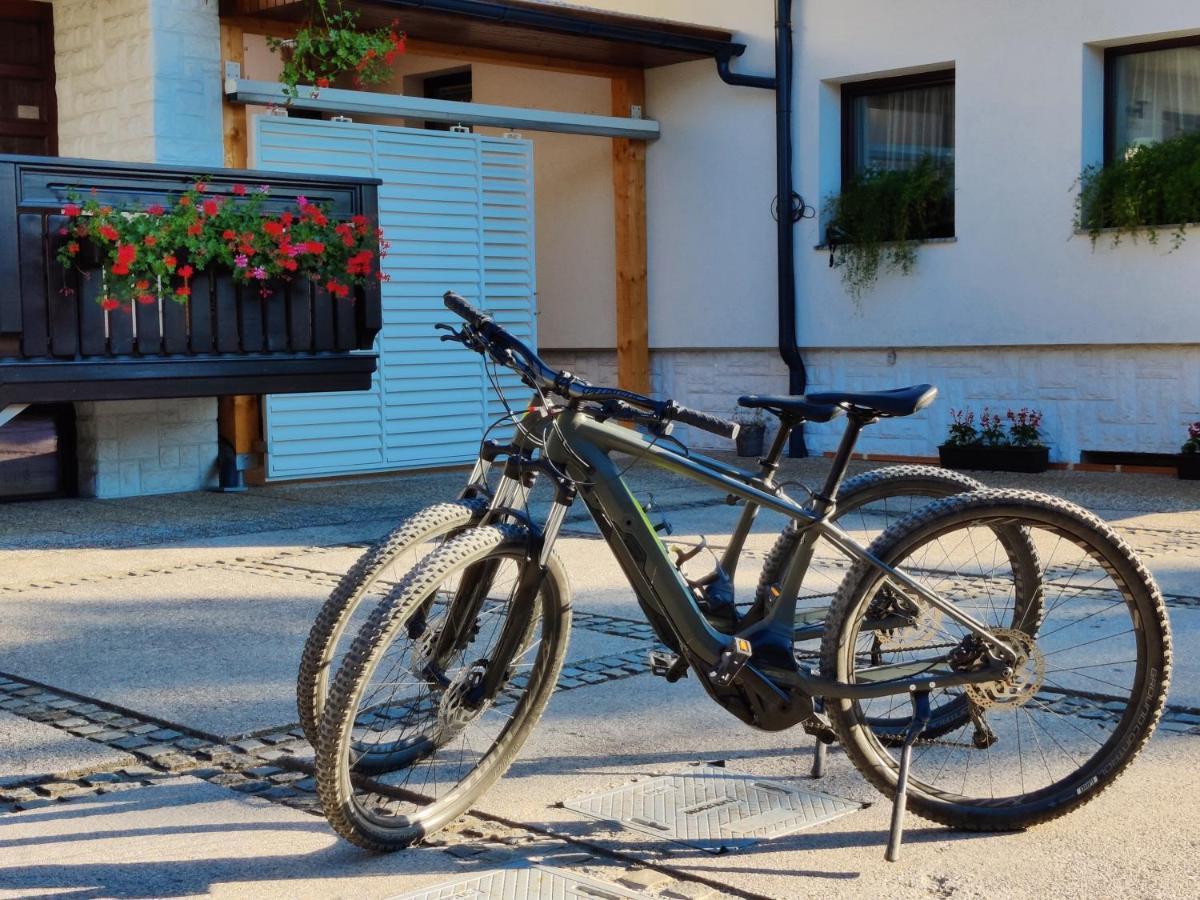 Garden Apartments Jansa Radovljica Eksteriør billede