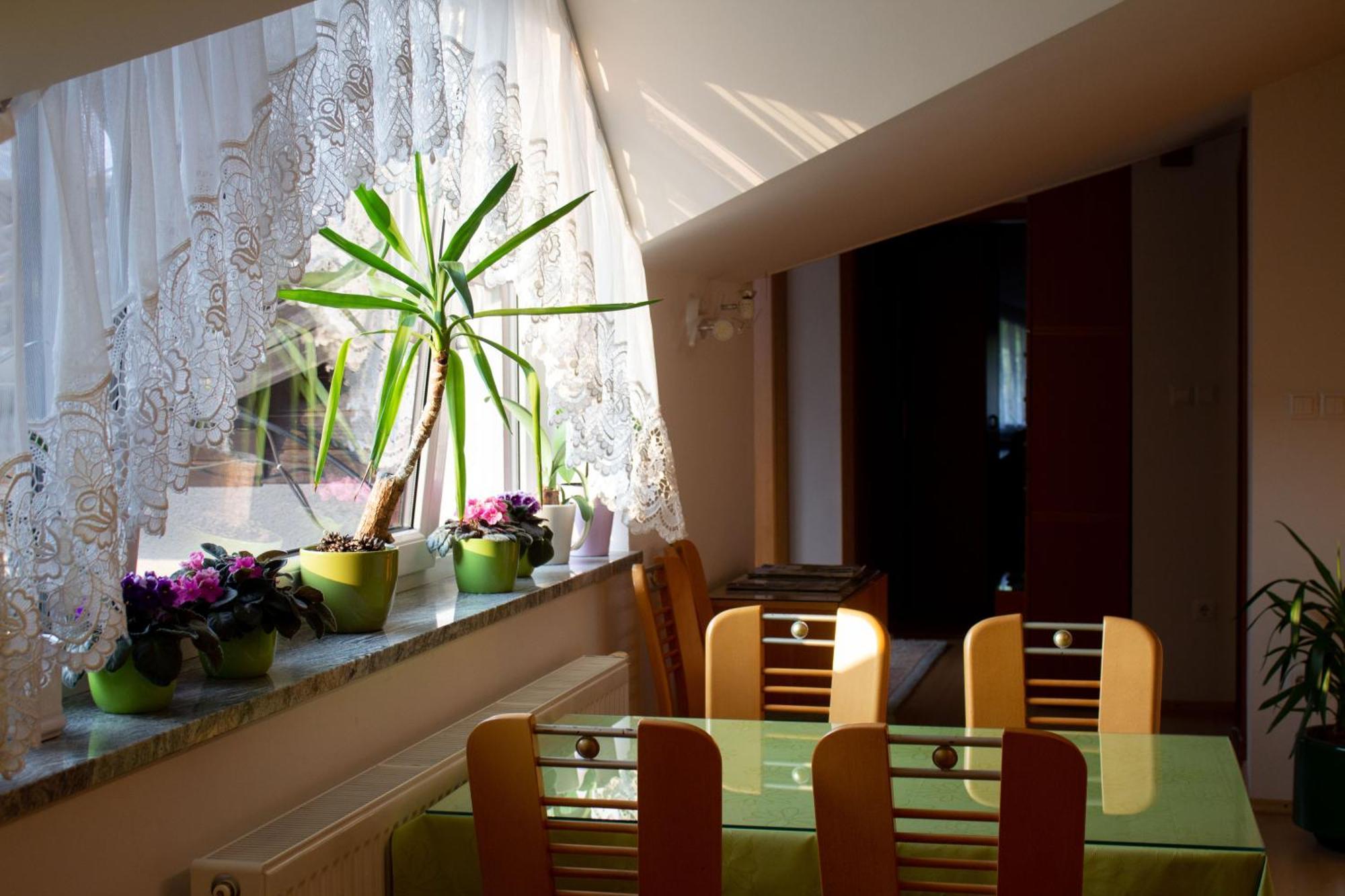 Garden Apartments Jansa Radovljica Værelse billede