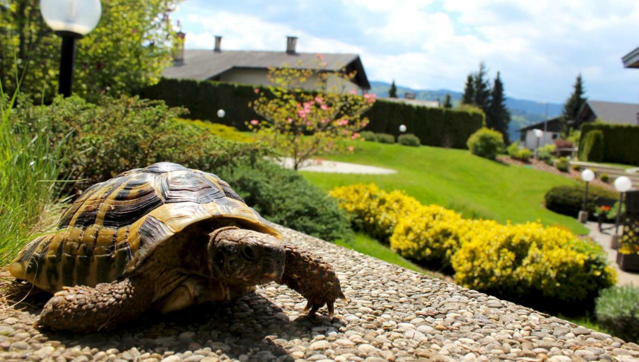 Garden Apartments Jansa Radovljica Eksteriør billede